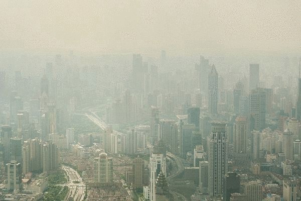 66 миллиардов деревьев чистят воздух в Китае