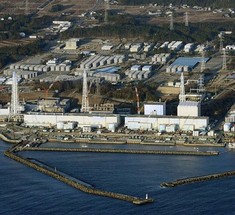 Для дезактивации радиоактивной воды на АЭС Фукусима будут использованы водоросли