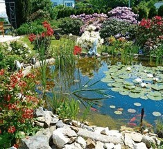 Как устроить садовый пруд