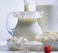  Применение молочного гриба в диетическом питании