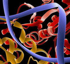 Жизнь без ДНК и РНК —Созданы искусственные ферменты, которые приведут к появлению новых организмов