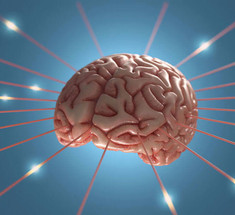 Кот Шредингера в голове: почему наш мозг похож на квантовое поле      