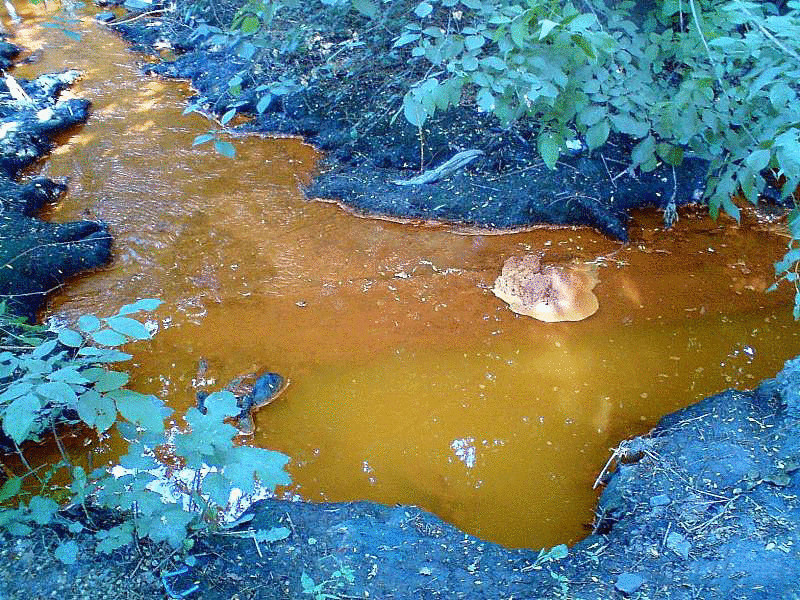 Вода стала коричневой. Отравленная вода. Отравленная вода фото. Вода стала жёлтой. Когда красят реки.