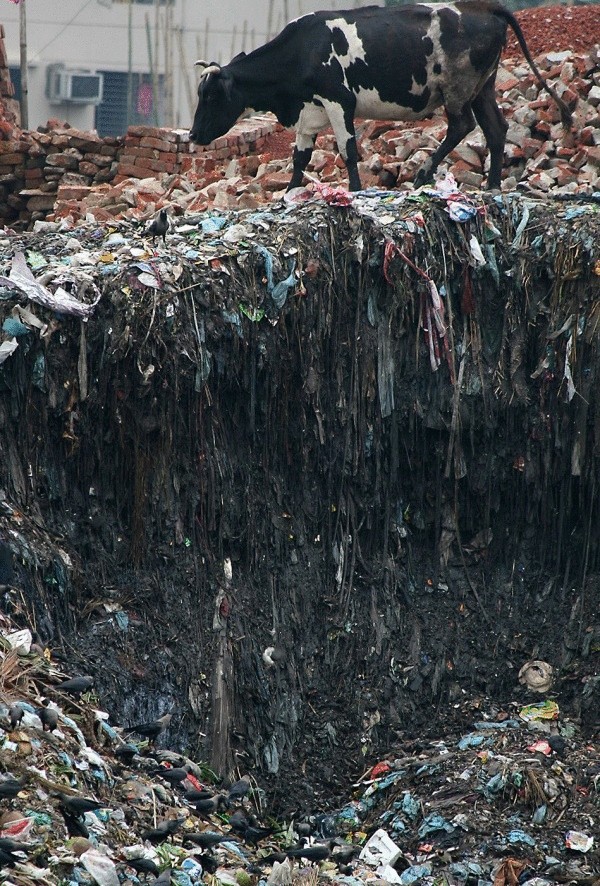 Мусорные отходы – угроза человечеству