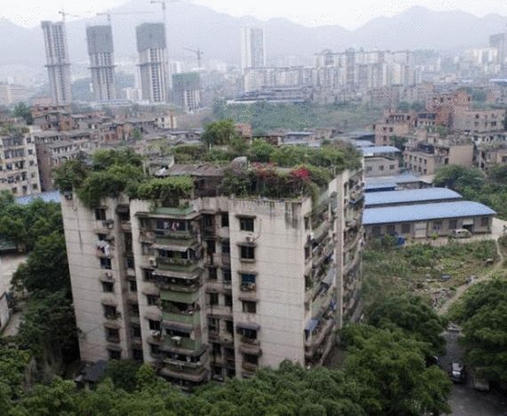 Зеленые крыши Китая