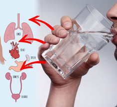 Почему лучше пить воду теплой: 4 веских довода