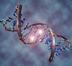 Человеческие чувства  изменяют форму молекулы ДНК