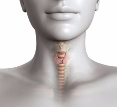 12 признаков, что у Вас проблемы со щитовидной железой