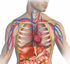  Основные триггеры гипертонии: 5 стратегий для снижения артериального давления