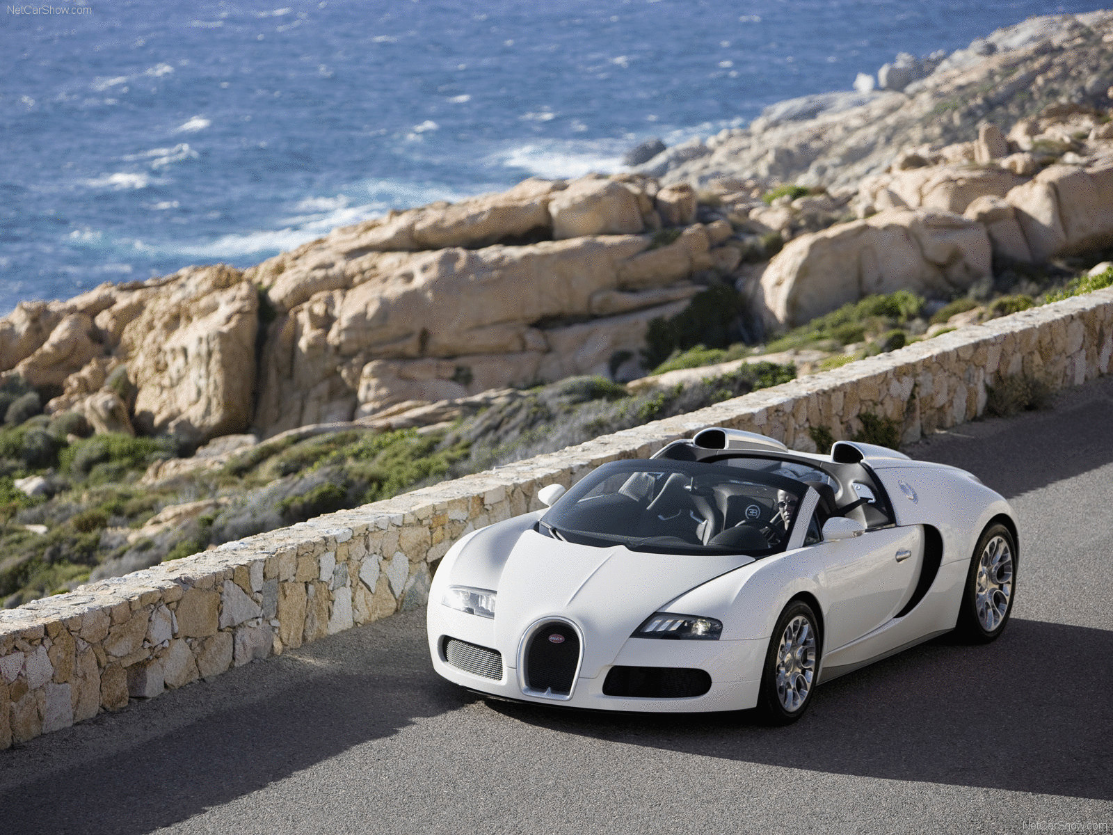 Из Bugatti Veyron сделают гибрид