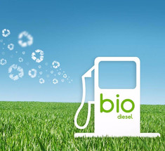 Инженеры MIT разработали технологию получения биодизеля