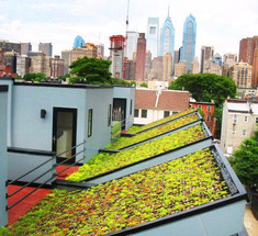 Голландский инженер предложил новый дизайн зеленой крыши