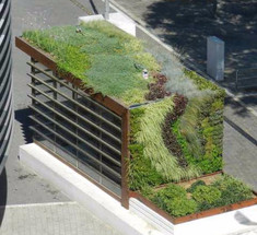 Зеленые крыши будут бороться с изменением климата в Севильи