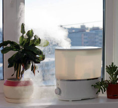 Какая должна быть влажность воздуха в квартире