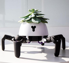 Роботизированный горшок для цветов сам перенесет растение на солнечный подоконник