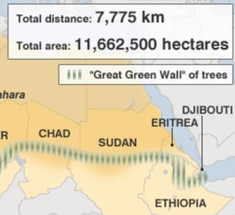20 африканских стран создают «Великую зеленую стену» для защиты Сахары