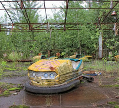 Почему в зоне Чернобыльской катастрофы так прекрасно сохранилась растительность?