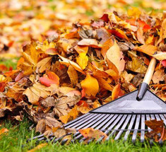 Опавшие листья на даче: лучшие варианты использования природного материала