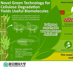 На пути к зеленому будущему: эффективная лазерная техника может преобразовать целлюлозу в биотопливо