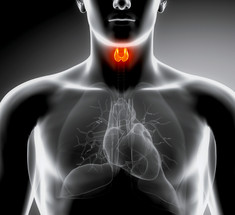 Заболевания щитовидной железы: как улучшить гормональный фон и сохранить молодость 