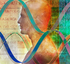 Как генетический код влияет на характер и судьбу
