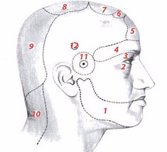 О чем говорит хроническая головная боль в определенной части головы
