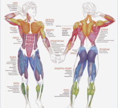 8 причин онемения мышц