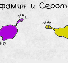 Где «достать» СЕРОТОНИН с ДОФАМИНОМ