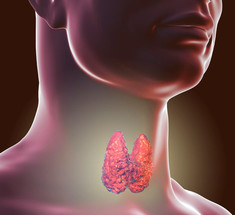 СЕЛЕН: здоровая щитовидная железа и сердце