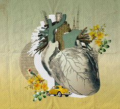 Сердечно-сосудистая система: Волшебные точки для укрепления здоровья