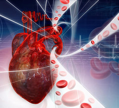 Как предотвратить болезни сердечно-сосудистой системы: 4 шага