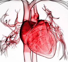 Оздоровление сердечной мышцы: Советы, которые предотвратят сердечные сбои