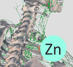 ЦИНК: ключевой минерал для вашей иммунной системы