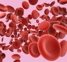 Густая кровь: Топ-8 продуктов для разжижения крови