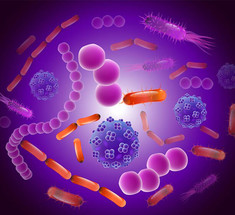 Кишечные бактерии - ключ к здоровью