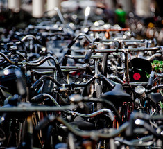 За последние 30 лет количество велосипедов в мире упало в 2 раза — даже без учёта Индии и Китая