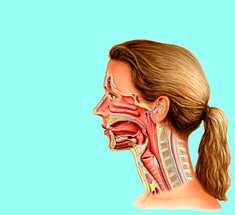 Как убрать отёки на лице: 6 советов от остеопата