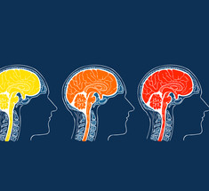 3 упражнения для мозга, которые нейрохирурги советуют выполнять всем