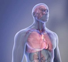 5 кардиологических препаратов, которые могут навредить другим органам