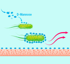 D-манноза для профилактики инфекции мочевыводящих путей