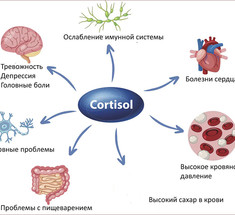 6 шагов к контролю уровня кортизола и снижению стресса