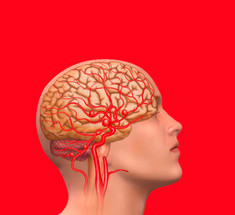 Улучшаем кровообращения мозга: комплекс из трех упражнений