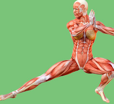 Цигун: энергетическая гимнастика для долголетия и баланса организма