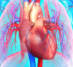 Ишемическая болезнь сердца: кто в зоне риска