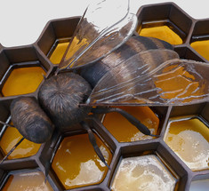 Пчелиная экономия: почему природа предпочитает шестиугольники?