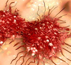 Метаболическая модель рака: Какие продукты «кормят» рак