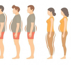 Базовый обмен веществ и вес вашего тела: Что нужно знать