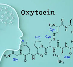 Об окситоцине, гормоне любви (или гормоне агрессии, если его много)