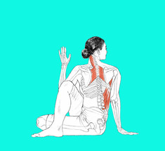 10 упражнений для растяжки спинных мышц