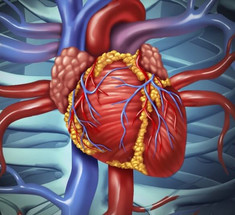 Заболевания сердечно-сосудистой системы: Можно ли вылечить СЕРДЦЕ?